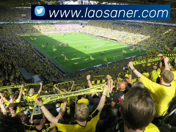 必一体育sport官网域名注册信息查询平台生态图